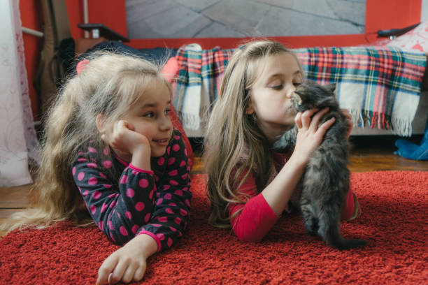 istock Little girls playing with kitten on the bed 680512938