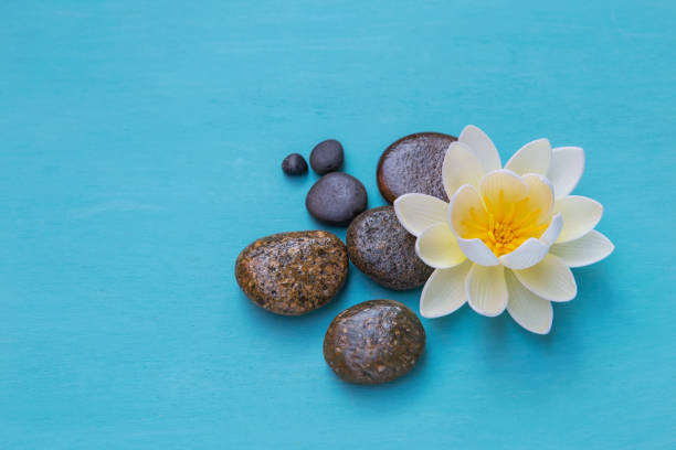 istock White lotus flower on round pebble stone on blue background 680514082