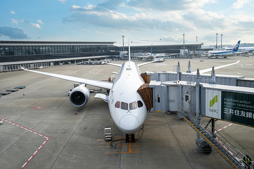 An ANA airplane loading off its passengers and cargo at Narita International airport
