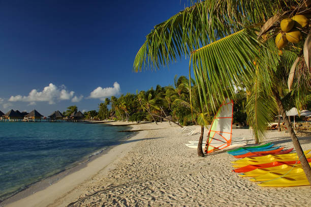 istock Colorful paddle boats on Bora Bora sandy beach 680521580