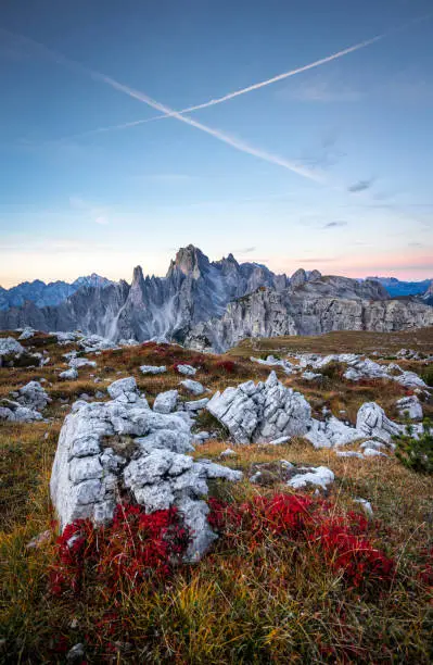 Photo of Sunset scenery in the Italian Dolomites. Bright red alpine flowers in the foreground and Monte Cristallo in the background.