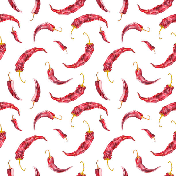 ilustrações de stock, clip art, desenhos animados e ícones de watercolor seamless pattern with chili pepper pods. watercolor illustration on white background. seamless pattern can be used for wallpapers, web backgrounds, or textile. - chili pepper illustrations