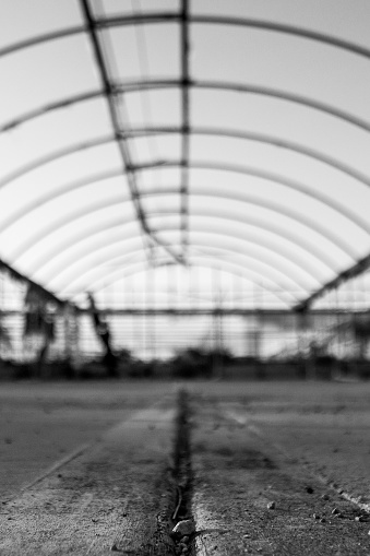 Old blurred abandoned greenhouse with focus on a small stone in the foreground. Black and white portrait orientation