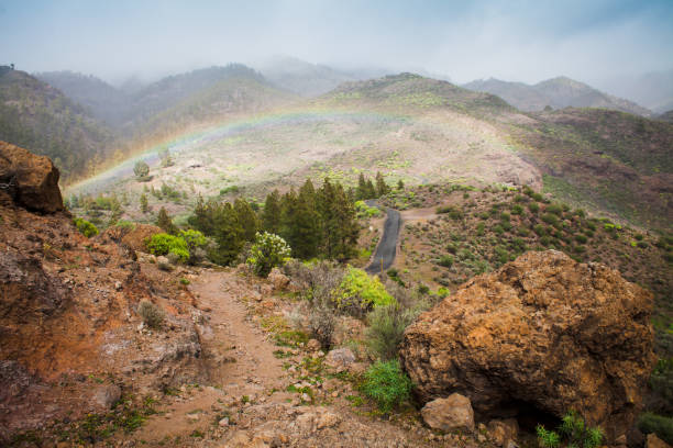 istock Gran Canaria -  green nature in the mountains. 680529628