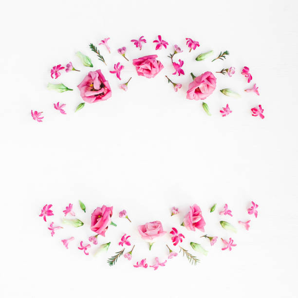 istock Wreath made of various pink flowers on white background 680544520