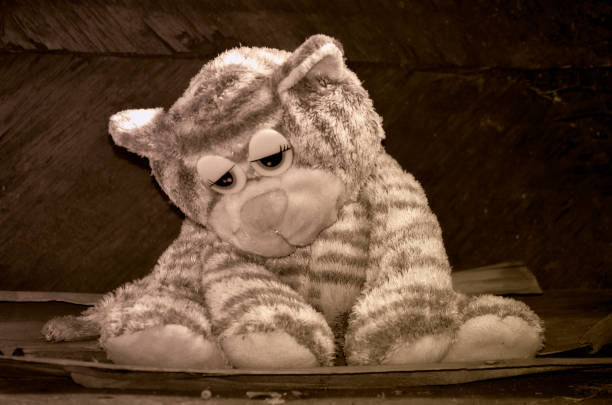 istock Lonely sad kitten at sepia 680546262