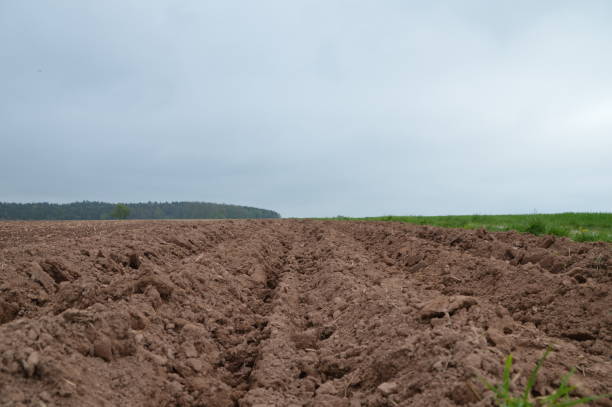 ackerfurchen - ackerfurchen fotografías e imágenes de stock