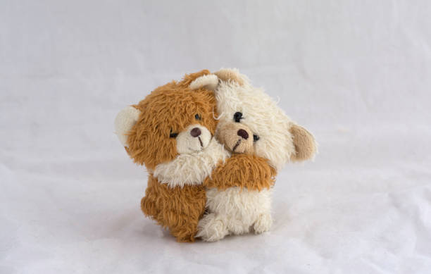 istock Couple Teddy Bears  on white background 680548900