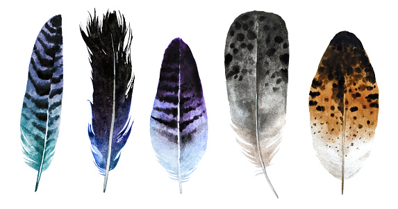 Set of watercolor feathers isolated on white background. Beautiful and gentle watercolor hand drawn feathers for your design, fabric, textile and others.
