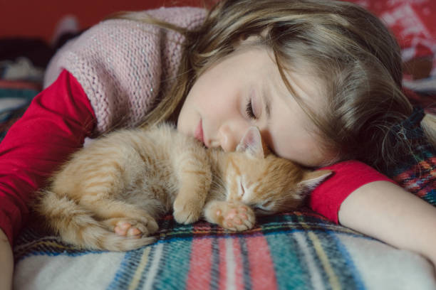 istock Little girl playing with kitten on the bed 680587186