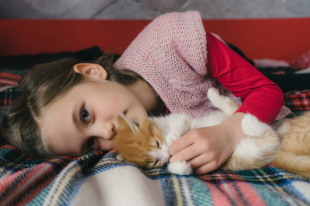 Little  Caucasian girl playing with kitten on the bed