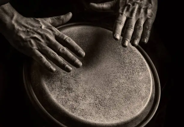 Sephia toned Picture of a bongo player. Detail of the Hands of the Musician