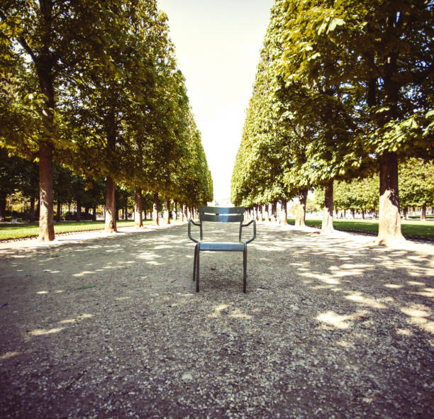 Empty chair in the middle of public park with chestnut trees.
