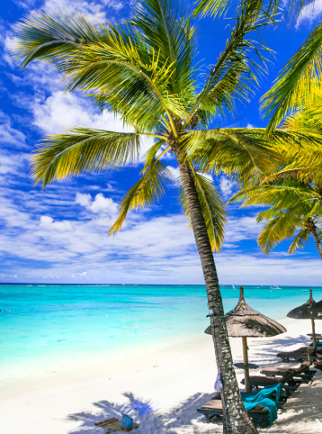 beautiful white sandy beaches of Mauritius