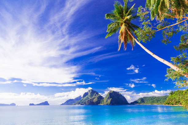 istock perfect tropical beach scenery - islands of Philippines, Palawan 680657778