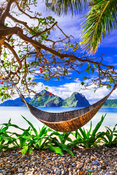 istock Tropical relaxing holidays - paradise islands in Palawan, Philippines 680657782