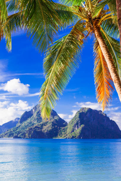 istock perfect tropical beach scenery - islands of Philippines, Palawan 680657786