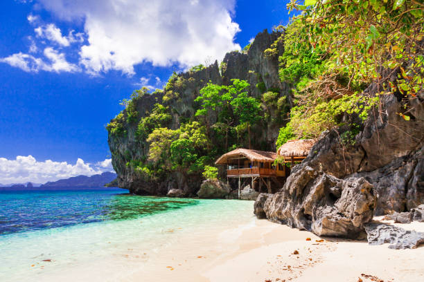 istock Tropical solitude - wild white sandy beaches of Philippines, El Nido 680657820