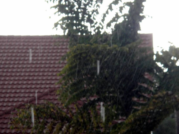 istock Rain Falls in Southern California 680668322