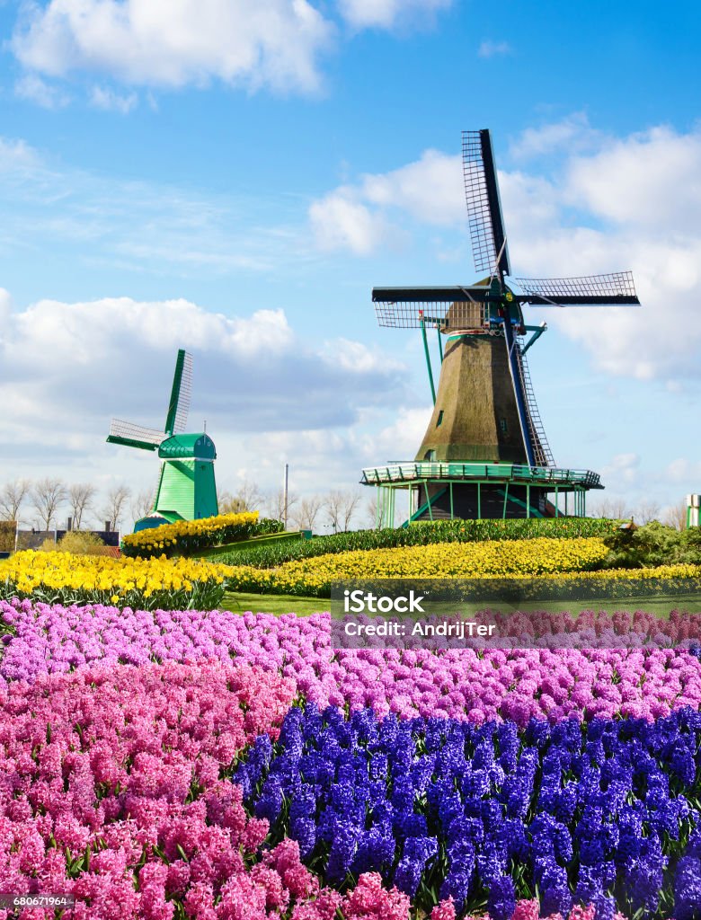 Magic spring landscape with flowers and patterns aerial Mill in Netherlands, Europe (harmony, relaxation, anti-stress, meditation - concept). Keukenhof Gardens Stock Photo