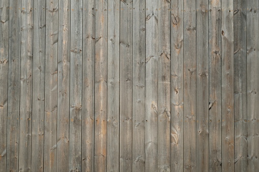 Section of an old dark gray wooden fence.