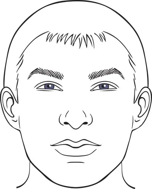 Vector illustration of men face chart