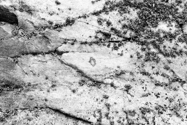 istock Wall fragment with scratches and cracks 680673250