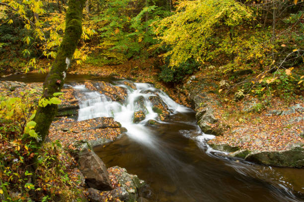 Cascada de otoño en las montañas humeantes - foto de stock