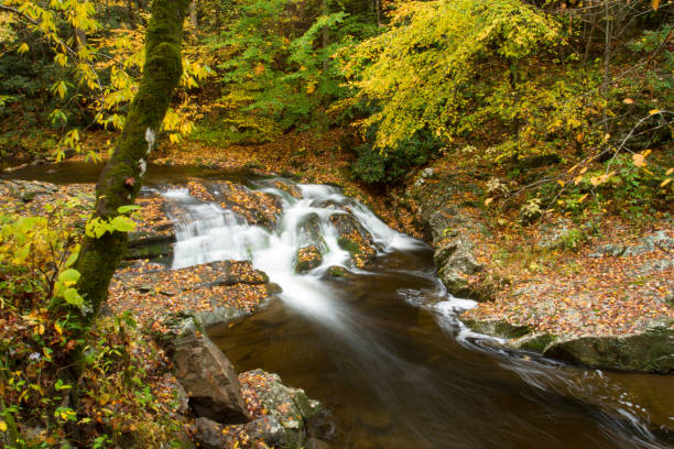 Cтоковое фото Осенний водопад в Смоки-Маунтинс