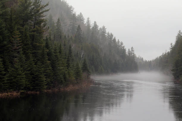 istock Calm river covered with fog in the spring 680683584