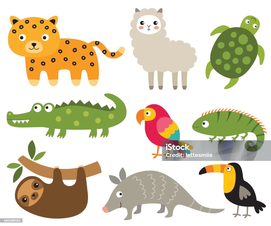 South American animals set South American animals set (jaguar, crocodile, sloth, turtle and other) Animal stock vector