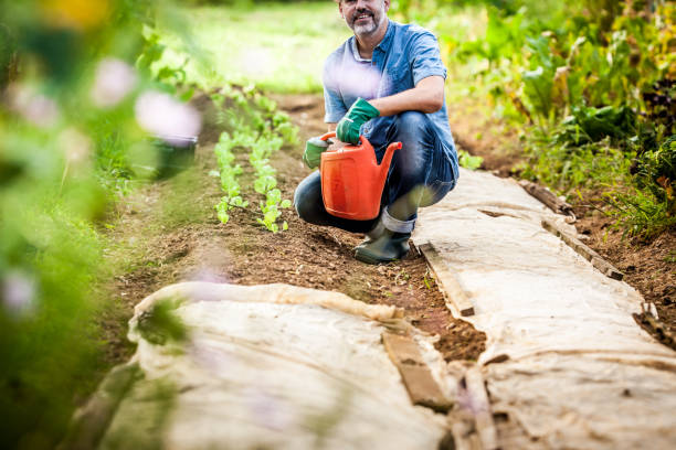 istock Mature Man Working In His Vegetable Garden 680688532