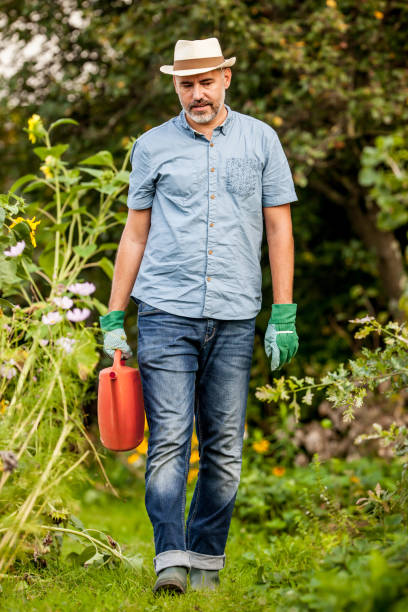 istock Gardener Watering Planting Seedlings Of Letucce 680690708