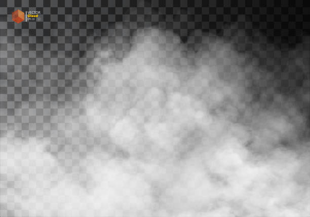 Fog or smoke isolated transparent special effect. Fog or smoke isolated transparent special effect. White vector cloudiness, mist or smog background. Vector illustration smoke physical structure stock illustrations
