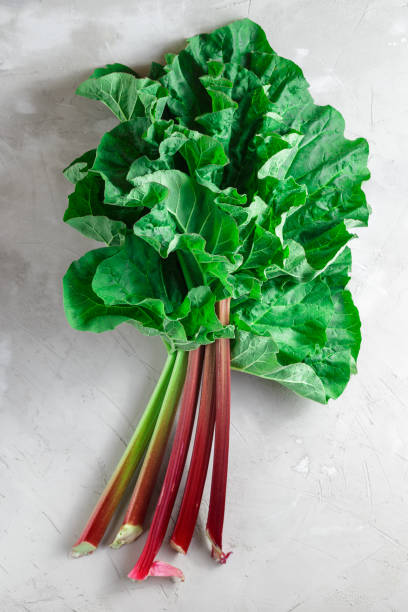 istock Fresh organic rhubarb on grey concrete background 680691270
