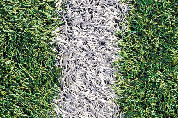 istock Artificial green grass with white stripe of soccer field 680693128
