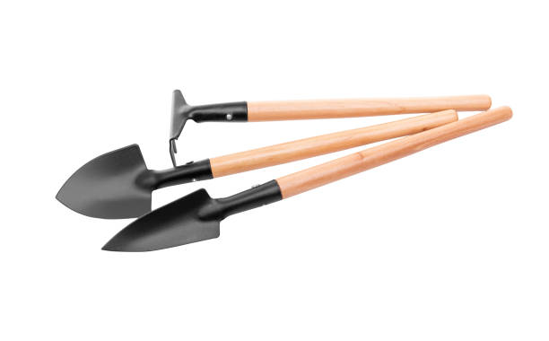 istock Shovel and rake for transplanting plants. 680693676