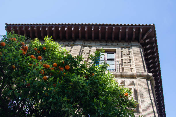 istock House with orange tree at the front in Barcelona, Spain 680702688