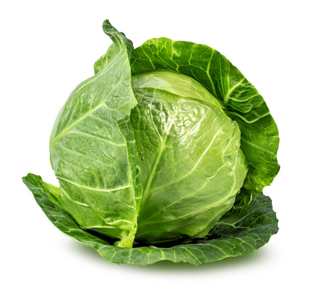 グリーンキャベツ白で分離 - head cabbage ストックフォトと画像