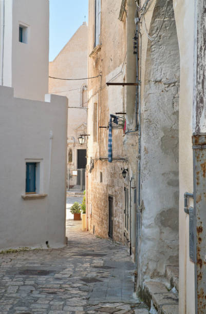istock Alleyway. Polignano a mare. Puglia. Italy. 680720516