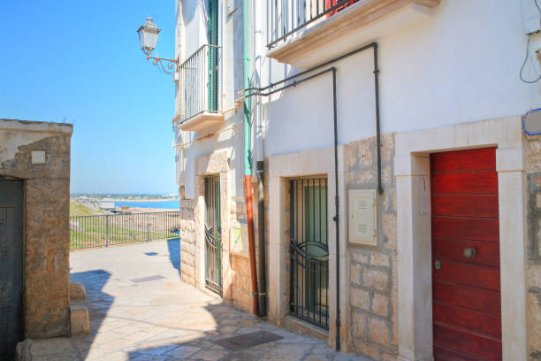 istock Alleyway. Polignano a mare. Puglia. Italy. 680729052