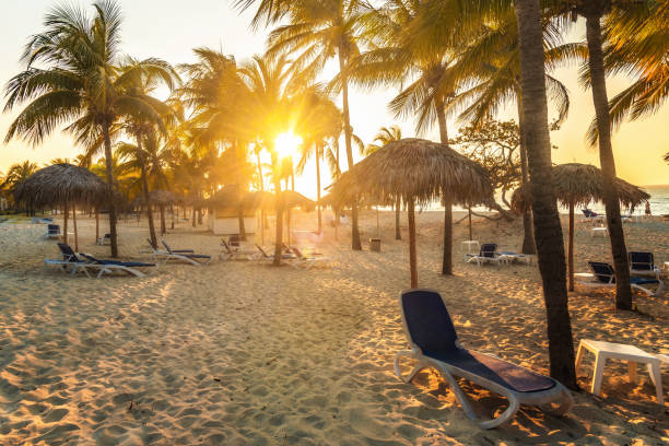 istock caribbean beach with parasols and beach chairs in Varadero at sunset 680734090