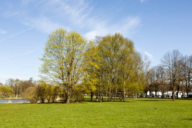 istock It is Sunday afternoon in the Park. 680740426
