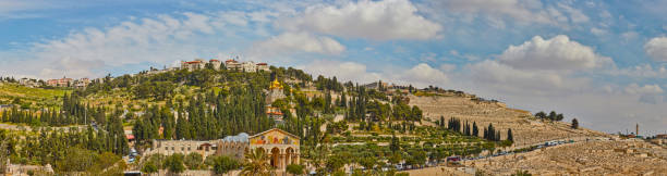 monte de los olivos, jerusalén, panorama - mount of olives fotografías e imágenes de stock