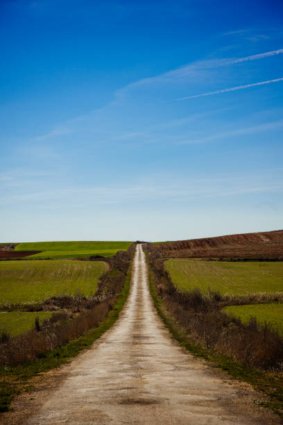 Straight countryside road A beautiful countryside road innovación stock pictures, royalty-free photos & images