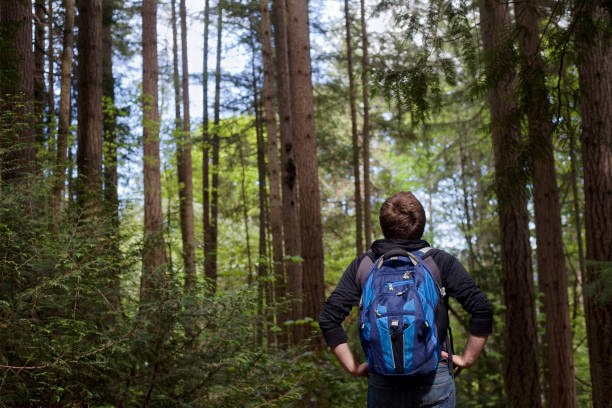 istock Young Hiker Looks Up 680747138