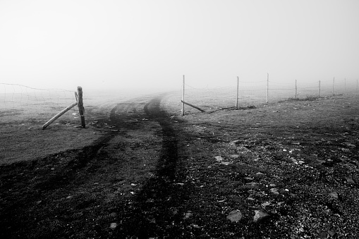 Tire tracks passing through a fence, in a country, misty and foggy landscape