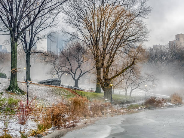 istock Central Park, New York City 680757264