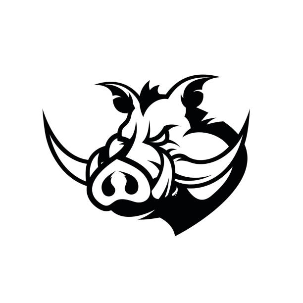 ilustrações de stock, clip art, desenhos animados e ícones de furious boar head sport club vector icon concept isolated on white background. - mascot anger baseball furious