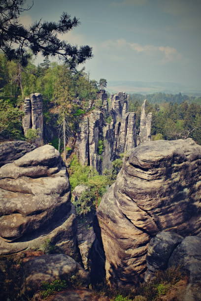 sandstone rocks in czech republic